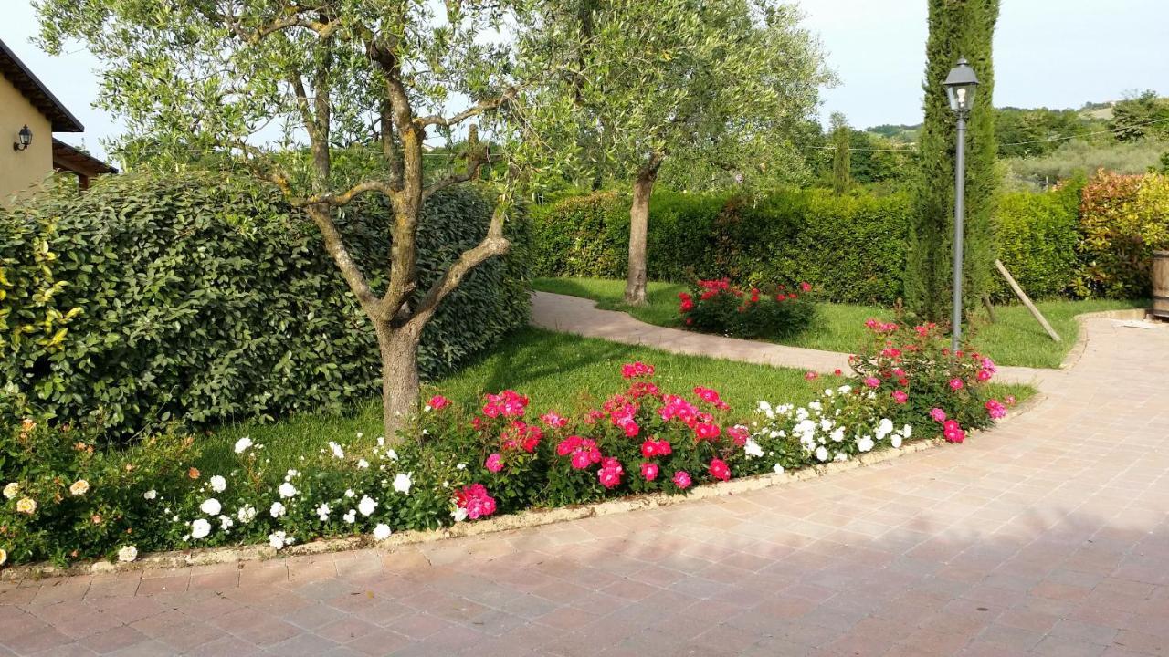 Valle Del Metauro Country House Montemaggiore al Metauro Dış mekan fotoğraf