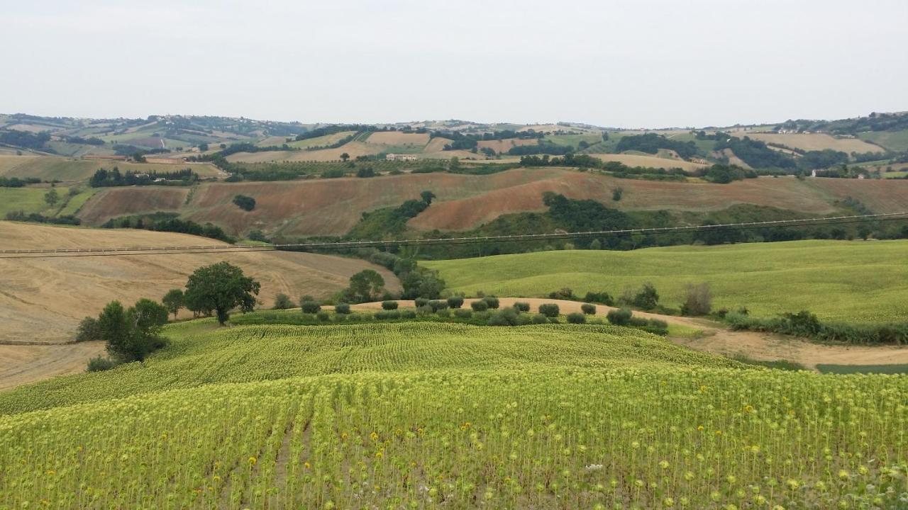 Valle Del Metauro Country House Montemaggiore al Metauro Dış mekan fotoğraf